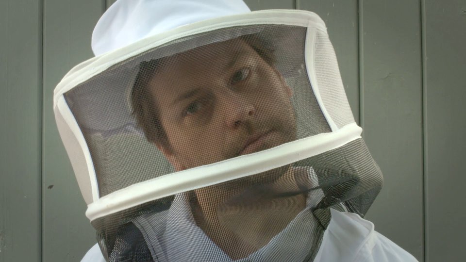 Volkswagen - Gebrauchtwagen